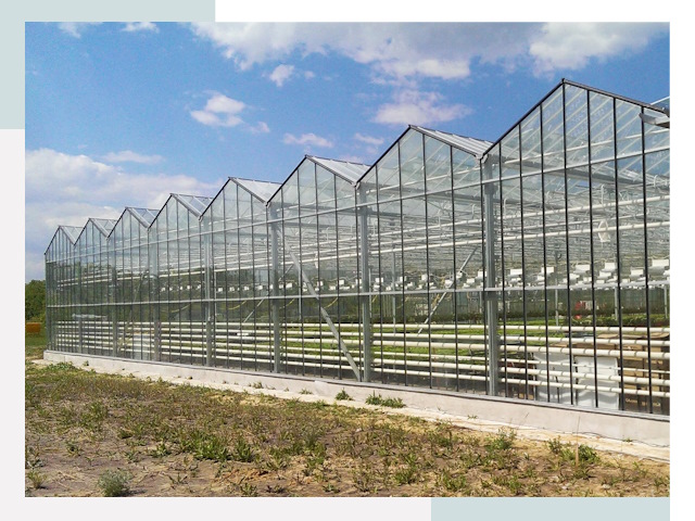Строительство теплиц в Заволжье от 611 руб. за м²
