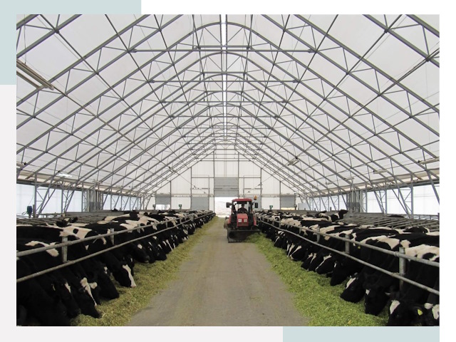 Тентовые коровники в Заволжье от 611 руб. - Надежно и доступно